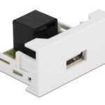 DELOCK module USB σε RJ45 Easy 45 81344