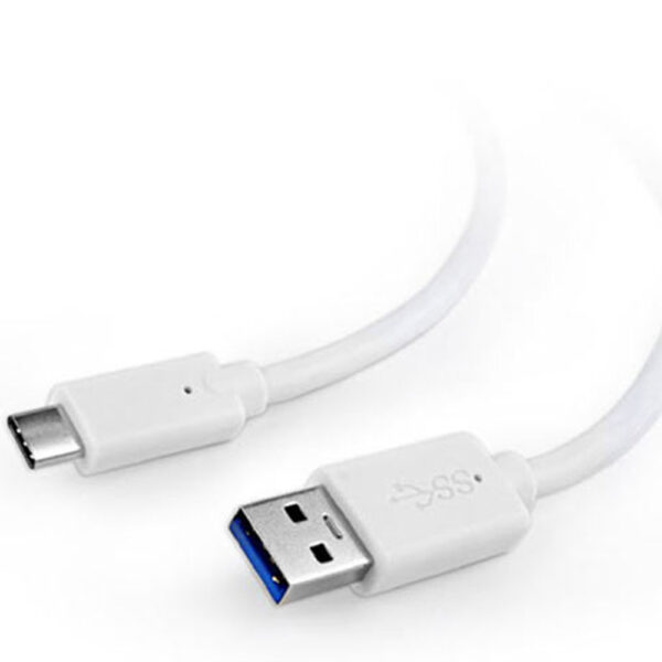 CABLEXPERT USB 3.0 AM TO TYPE-C CABLE 1M WHITE