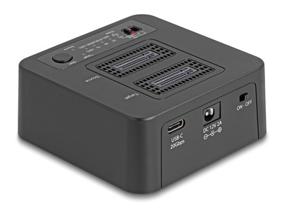DELOCK docking station 64300 για 2x M.2 NVMe SSD