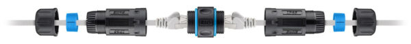 CAT 6