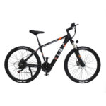 LGP MOUNTAIN E-BIKE 36V 250W 'REBEL'