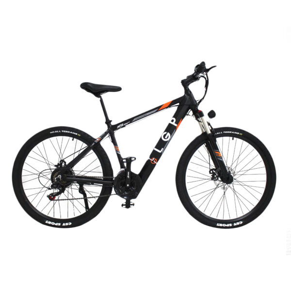 LGP MOUNTAIN E-BIKE 36V 250W 'REBEL'