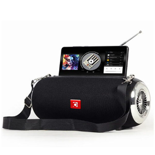 GEMBIRD PORTABLE BLUETOOTH SPEAKER WITH ANTENNA BLACK