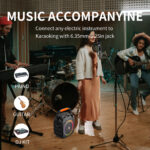 JYX φορητό ηχείο T26-T με 2x μικρόφωνα, 20W, 4000mah, LED, μαύρο - Image 6