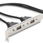 DELOCK κάρτα επέκτασης USB 9pin σε 2x USB 2.0 91800
