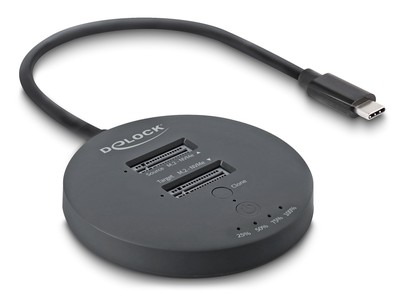 DELOCK docking station για M.2 NVMe PCIe SSD 64364